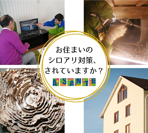 ASANTE画像